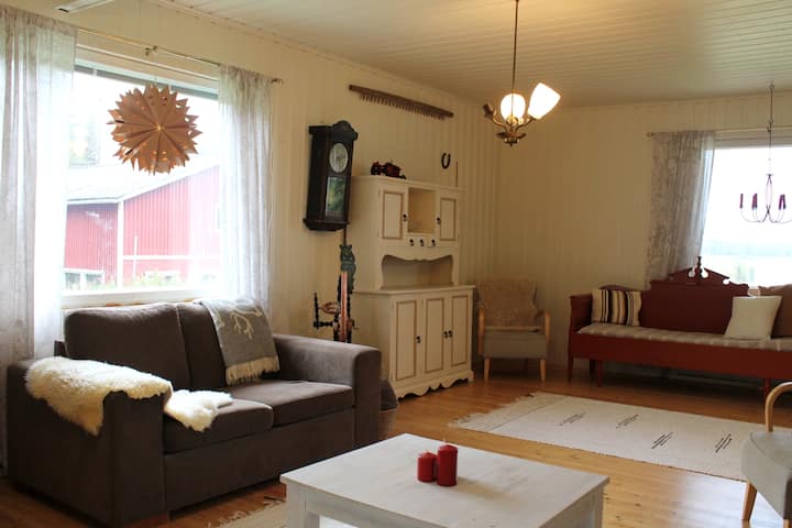 Revontulikohde Luonnossa Lappilaisella Maaseudulla - Rovaniemi