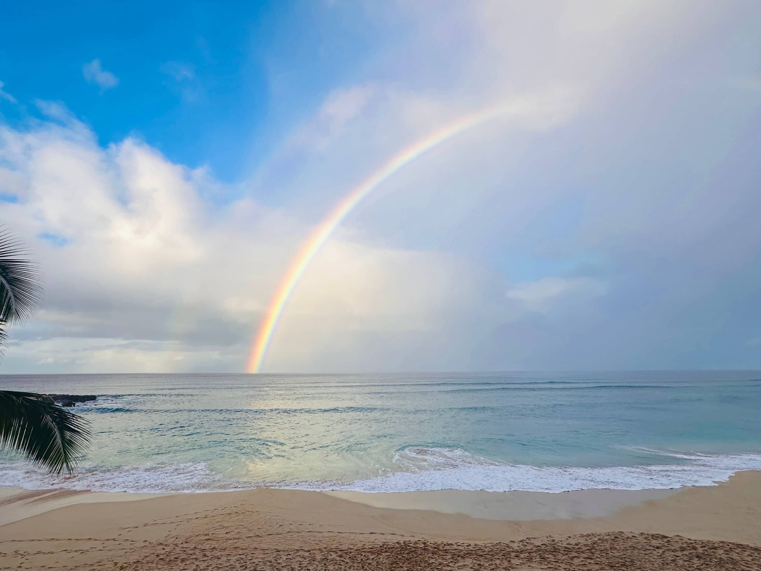 Condo in Waianae · ★4.91 · 1 bedroom · 2 beds · 1 private bath - Image 29