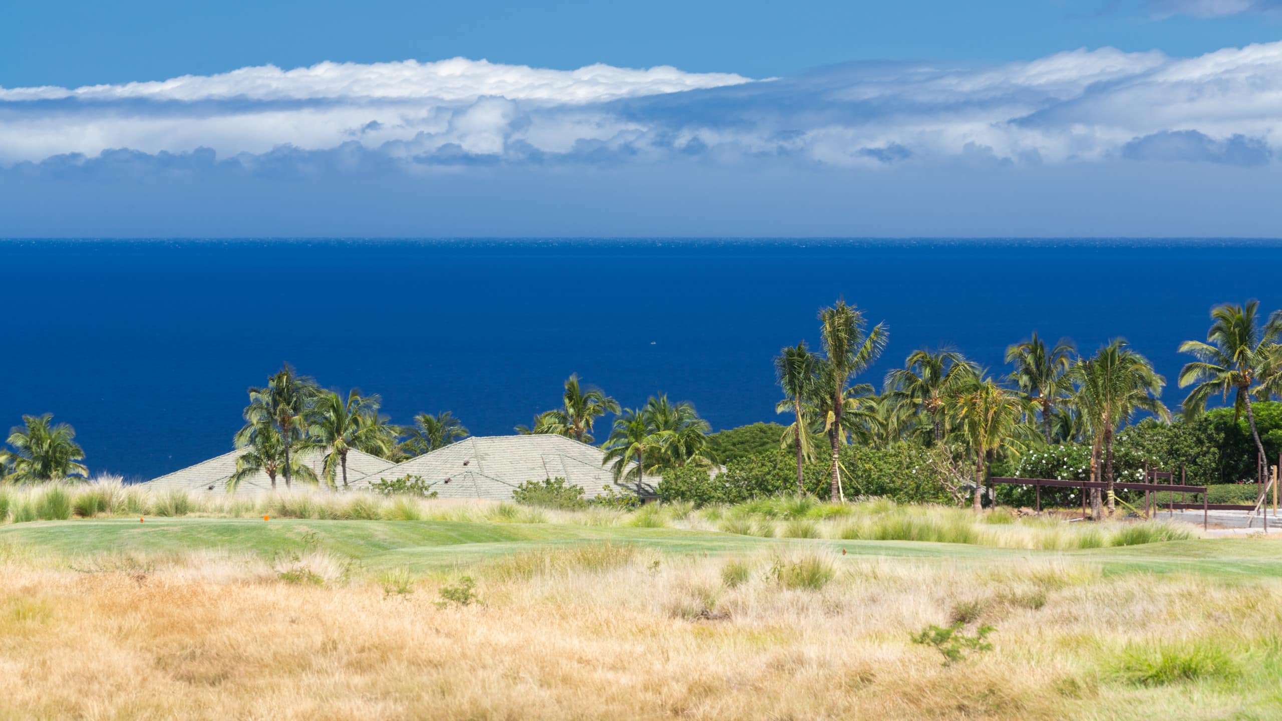 Home in Waimea · ★5.0 · 4 bedrooms · 7 beds · 4.5 baths - Image 3