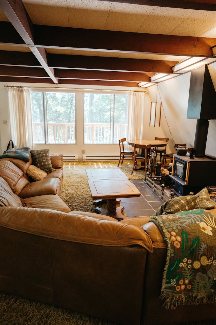That 70's House - Houses for Rent in Nevada City, California