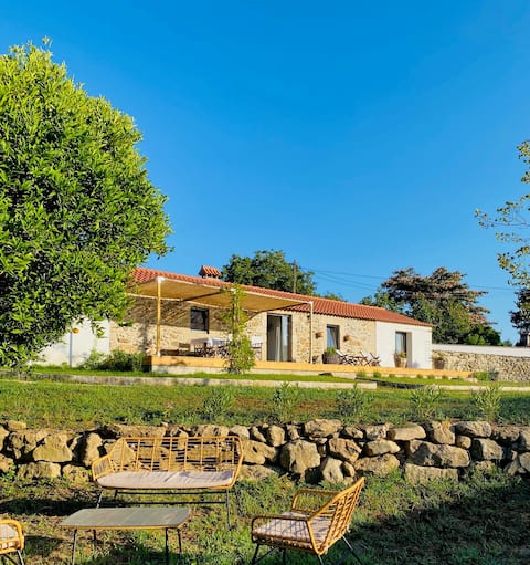 The Houses of BomPai - Oliveiras