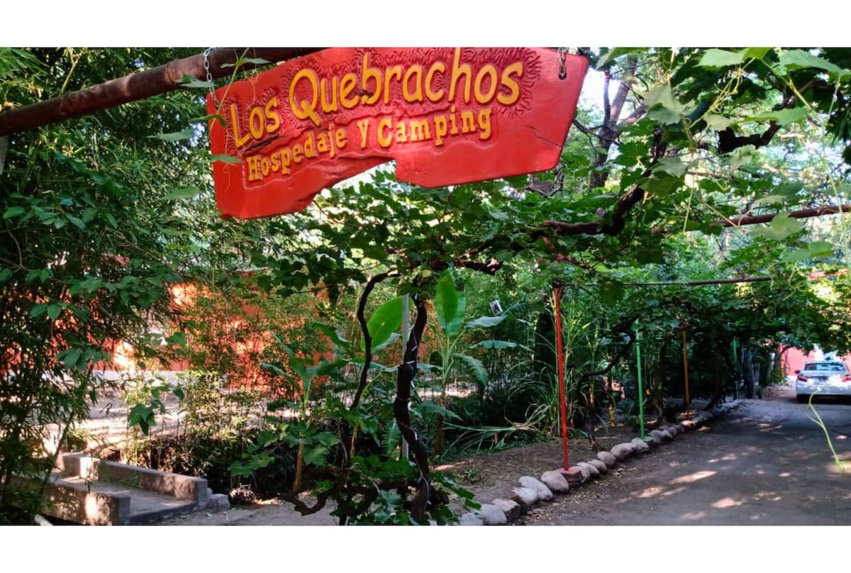 A vibrant sign reading 'Los Quebrachos Hospedaje y Camping' is prominently displayed amidst lush greenery. The pathway, lined with stones, leads into a shaded area filled with trees and vines, creating a welcoming entrance for guests.