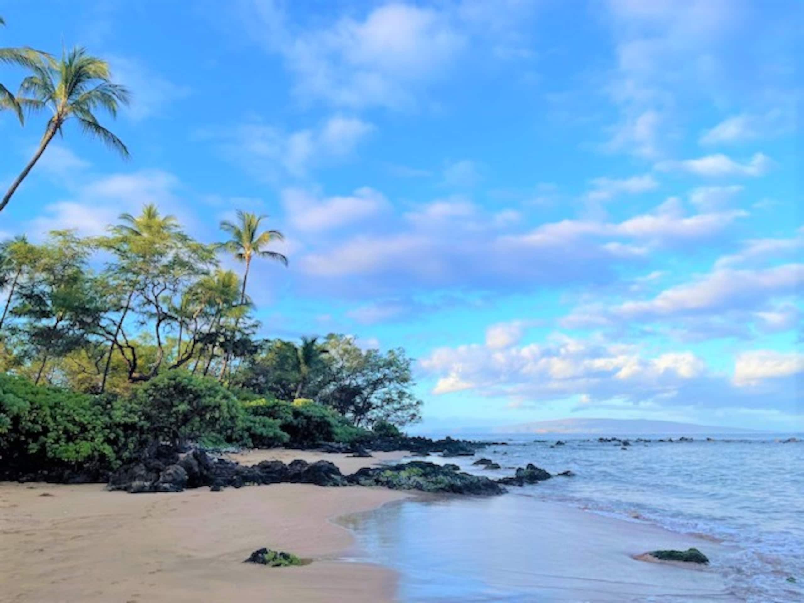 Condo in Kihei · ★4.93 · 1 bedroom · 1 bed · 2 baths - Image 10