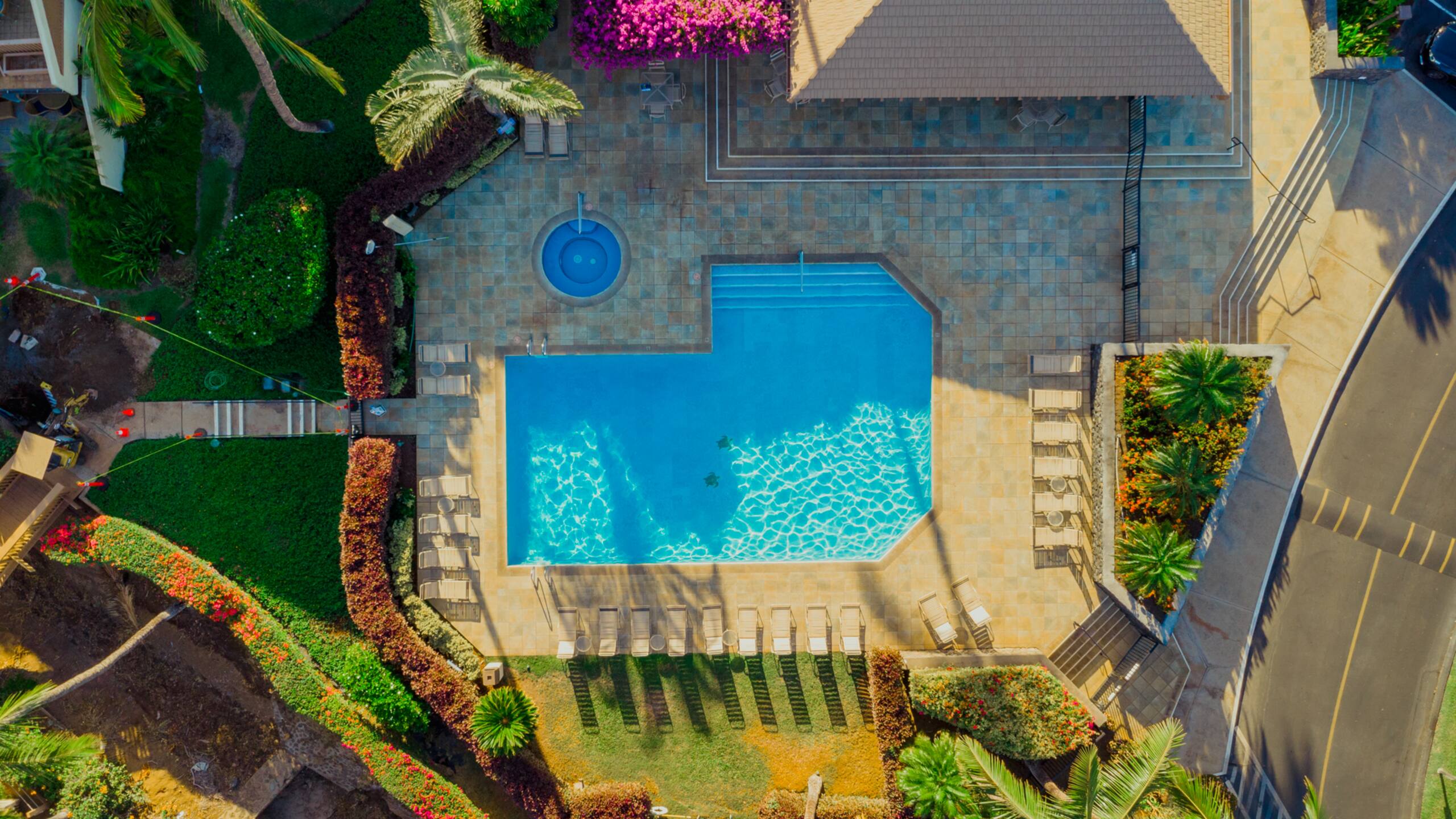 Condo in Kihei · ★4.93 · 1 bedroom · 1 bed · 2 baths - Image 14
