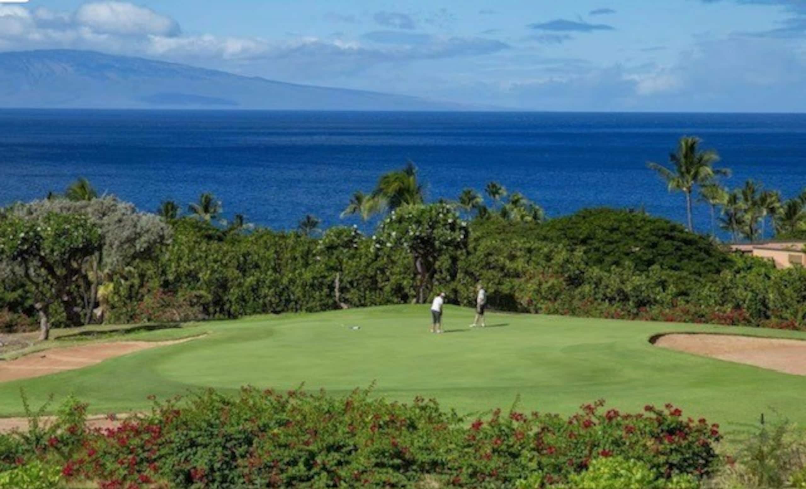 Condo in Kihei · ★4.93 · 1 bedroom · 1 bed · 2 baths - Image 11