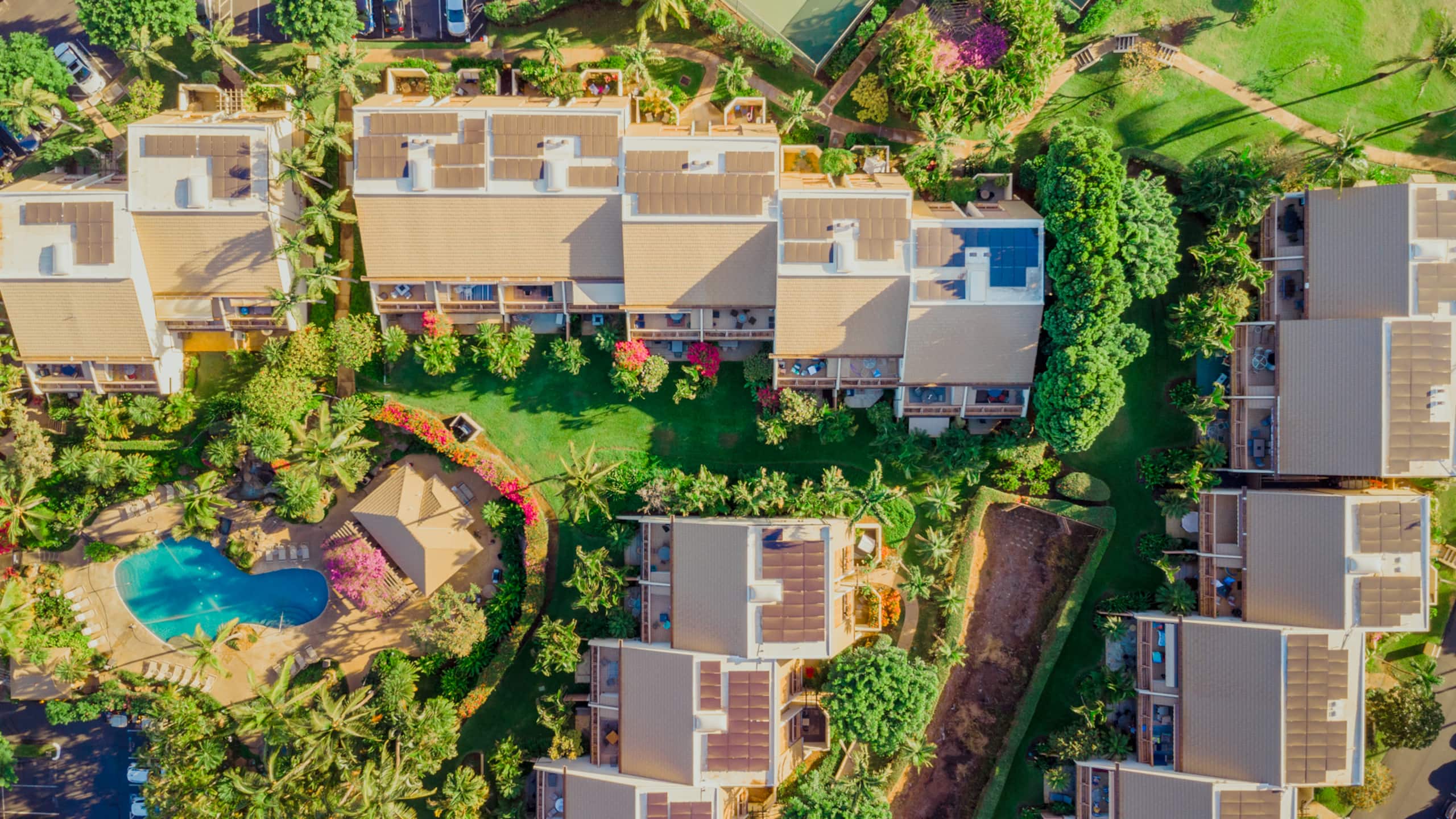 Condo in Kihei · ★4.93 · 1 bedroom · 1 bed · 2 baths - Image 19