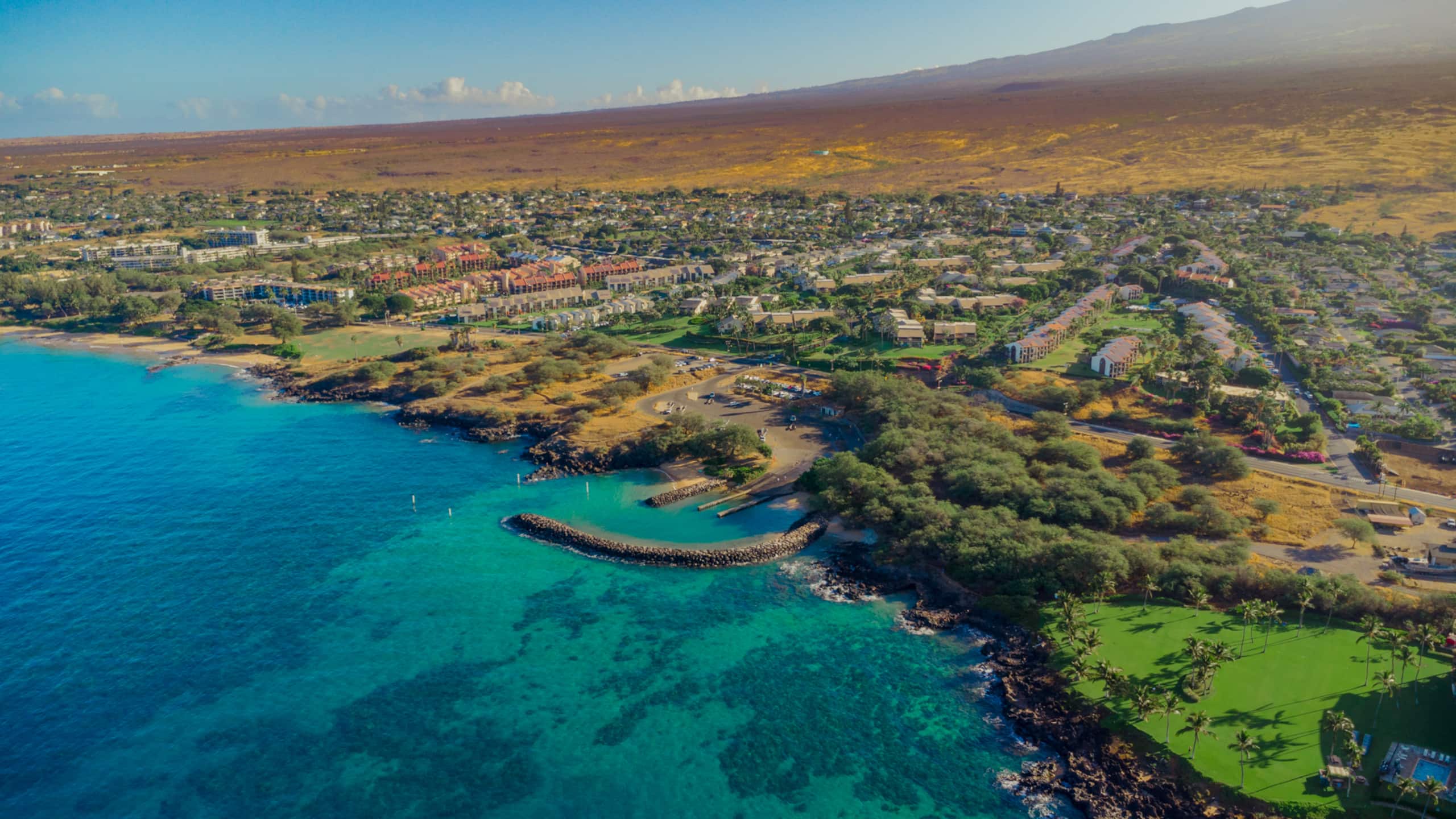 Condo in Kihei · ★4.93 · 1 bedroom · 1 bed · 2 baths - Image 6