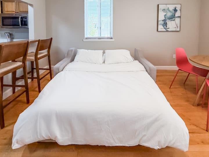 (S209) Cute Studio Near Airport, Hospitals & Beach - Boston, MA