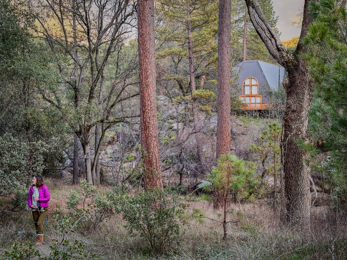 A charming structure nestled among tall pine trees is visible in the background. The foreground features an open area with natural foliage, where a person is seen walking along a path, surrounded by the serene beauty of the forest.