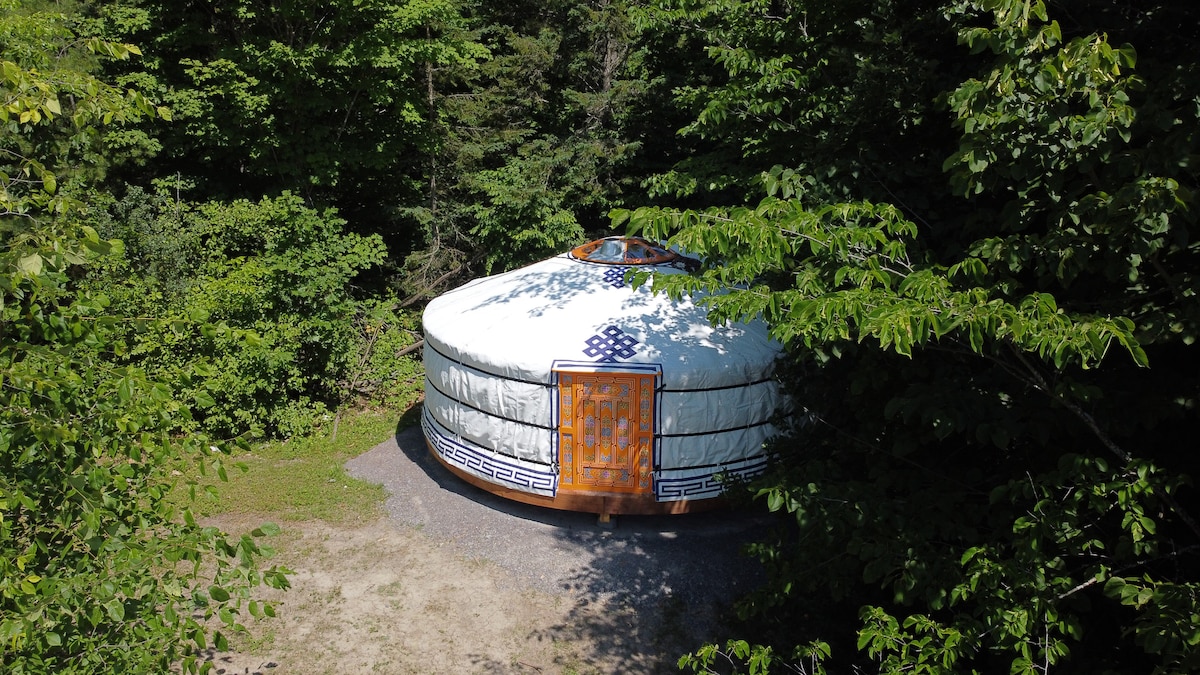 A Mongolian yurt is nestled among lush green trees, offering a sense of seclusion in nature. The round structure features a wooden door decorated with intricate designs, contrasting with the white fabric of the yurt. A gravel path leads to the entrance.