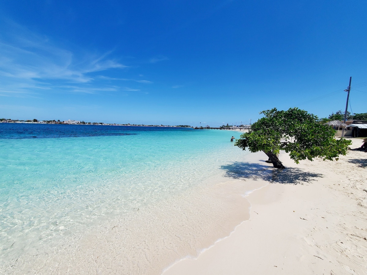 A serene beach scene features gentle waves lapping at the shore, where light sand meets clear turquoise waters. A lone tree is positioned on the edge of the beach, providing contrast against the vibrant colors of the sea and sky. The landscape suggests tranquility and openness.