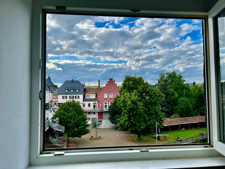 إطلالة رائعة من غرفة النوم 1 على بيوت الجسر وبركة المطحنة وكوزنبرغ