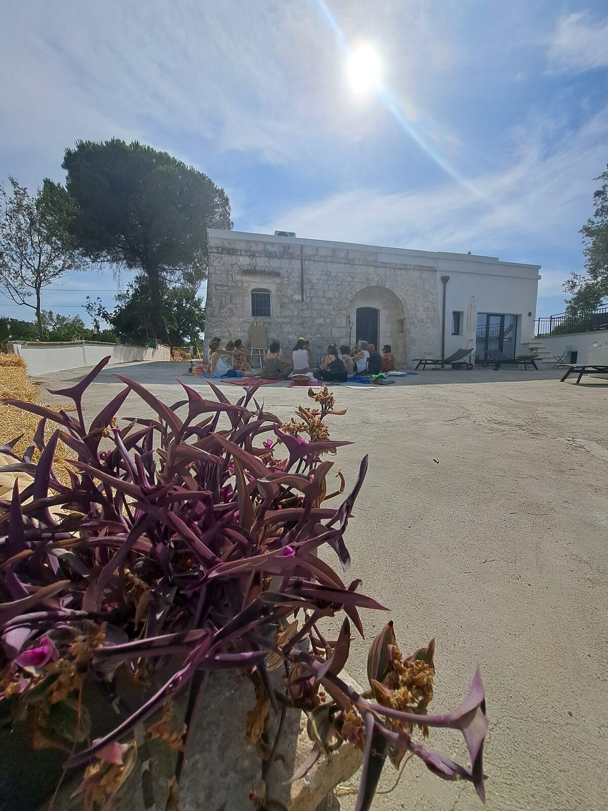 A stone building is presented under a bright sky, with sunlight shining down. A group of people is seated outside, surrounded by nature. Purple plants are visible in the foreground, adding a touch of color to the scene.