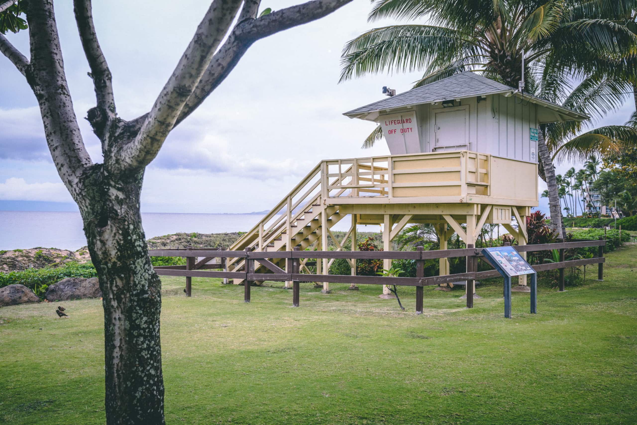 Condo in Kihei · ★4.85 · 1 bedroom · 1 bed · 1 private bath - Image 41