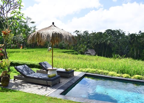 Jiwaku di Bali, Beautiful private villa Ubud 2 Bed