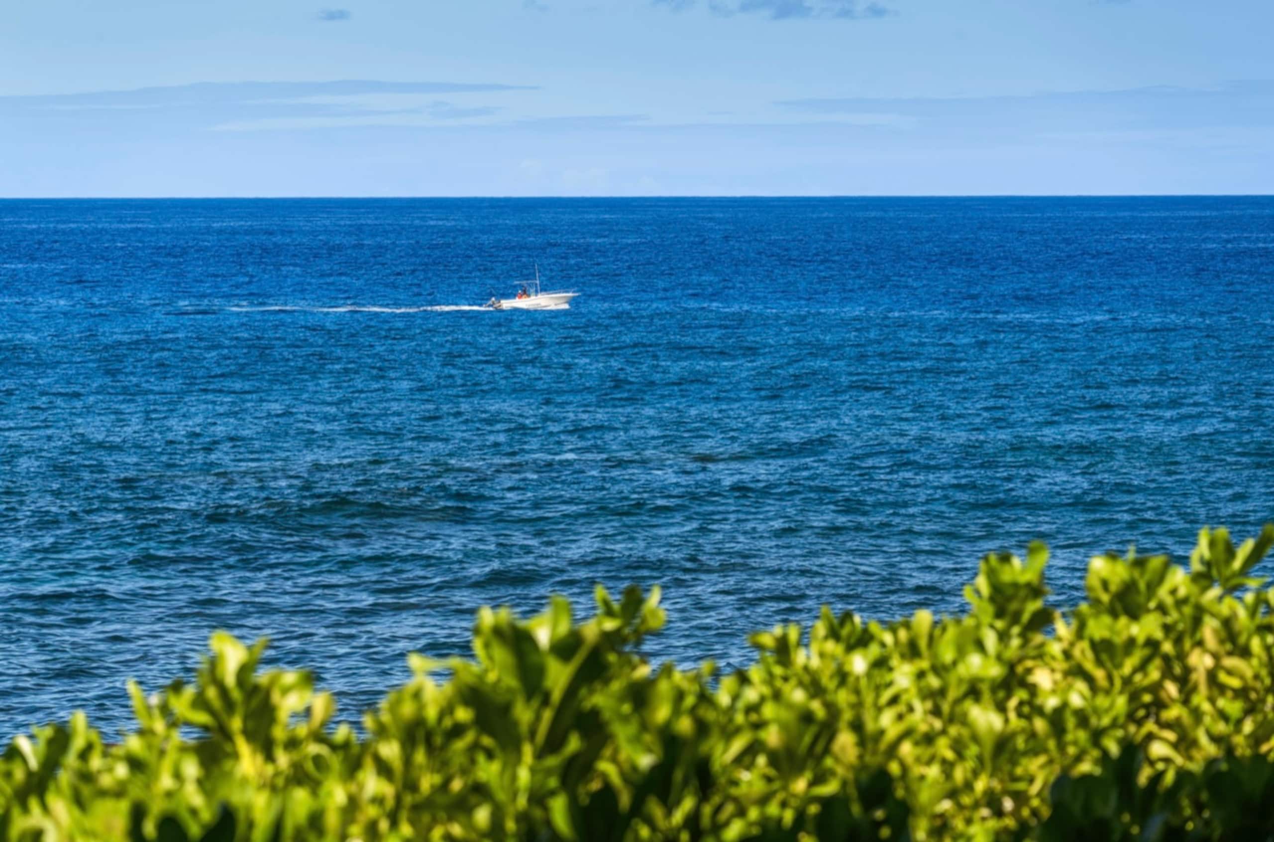 Updated Corner Unit with Ocean and Golf Views - Photo 45