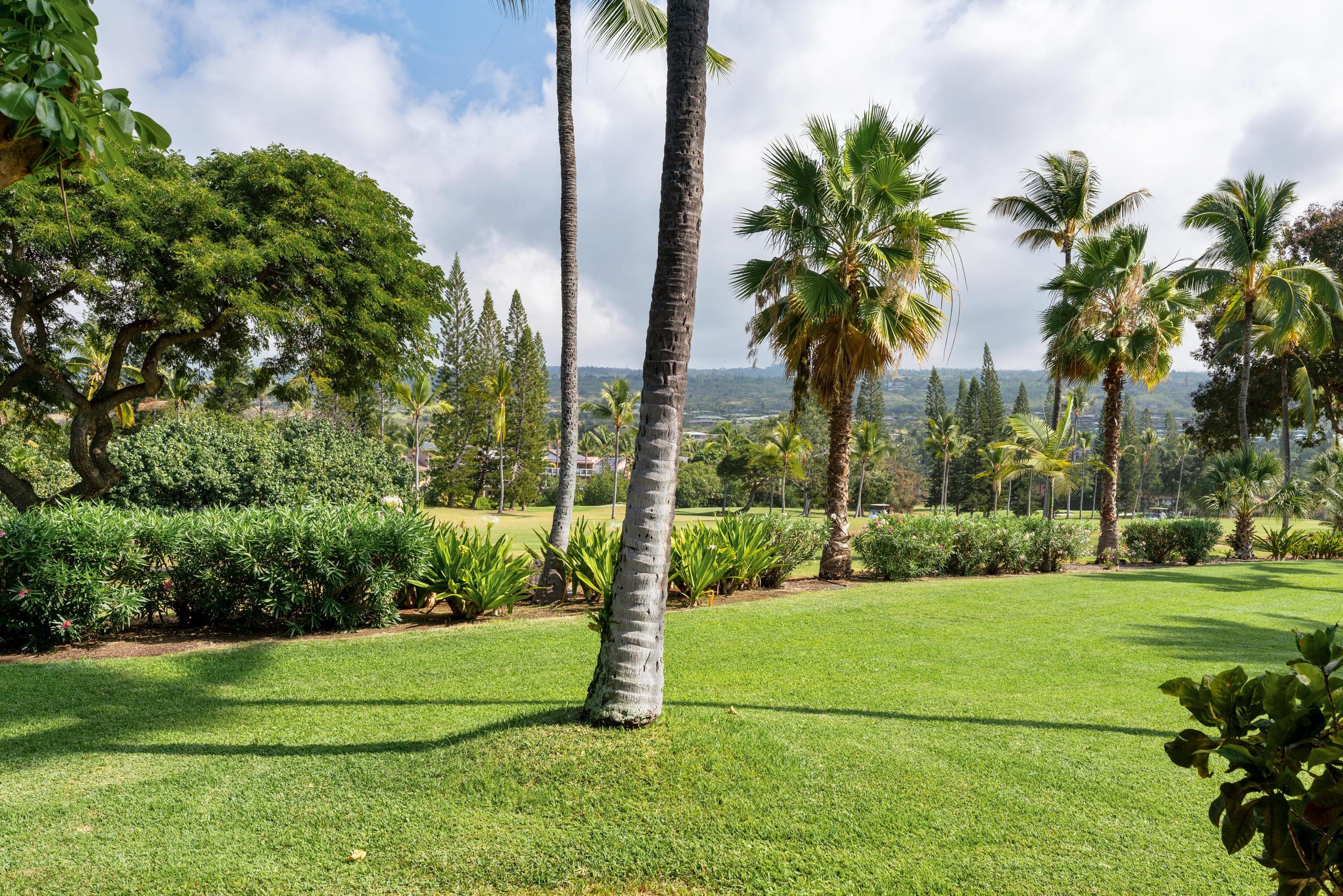 Updated Corner Unit with Ocean and Golf Views - Photo 33