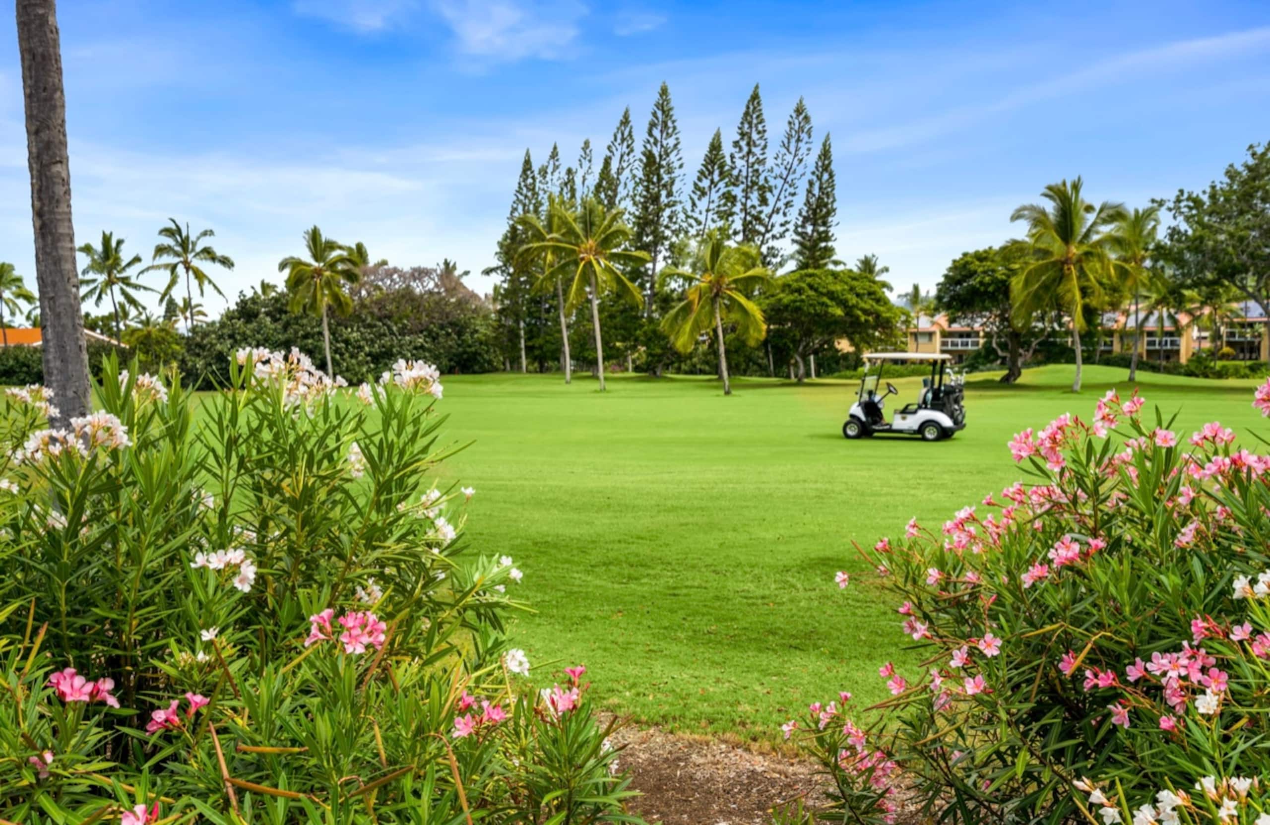 Updated Corner Unit with Ocean and Golf Views - Photo 43