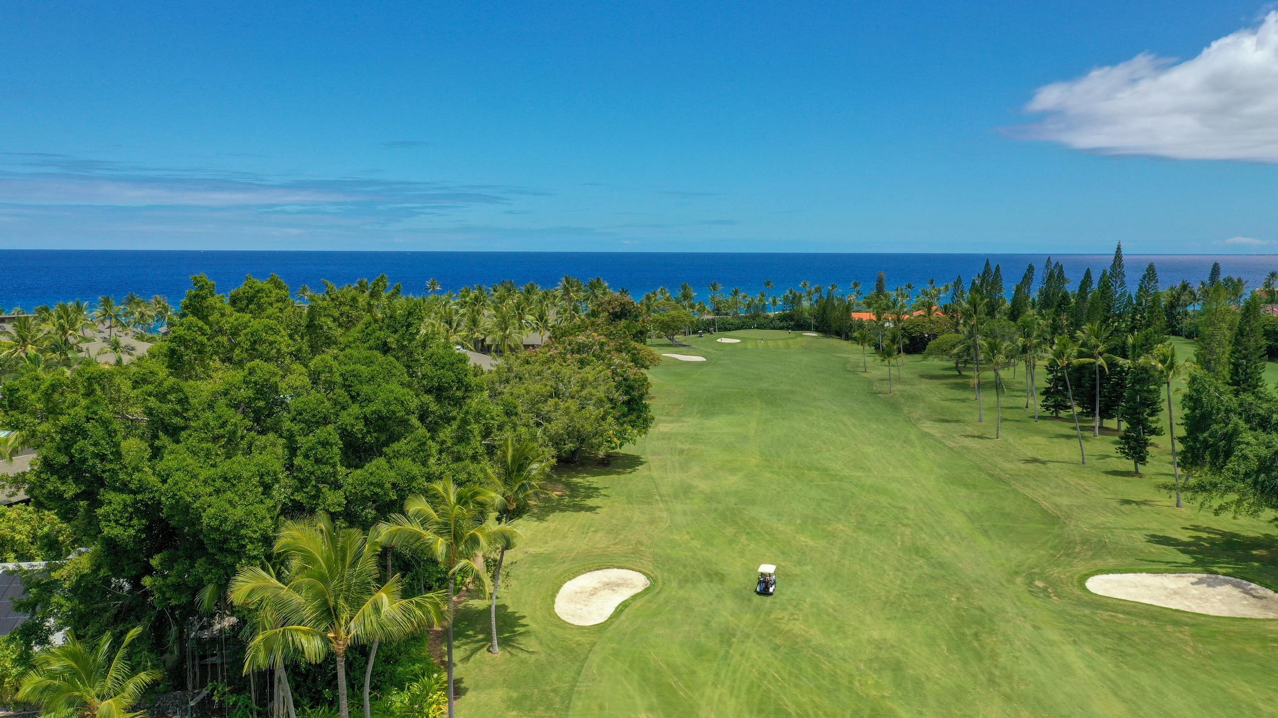 Updated Corner Unit with Ocean and Golf Views - Photo 47