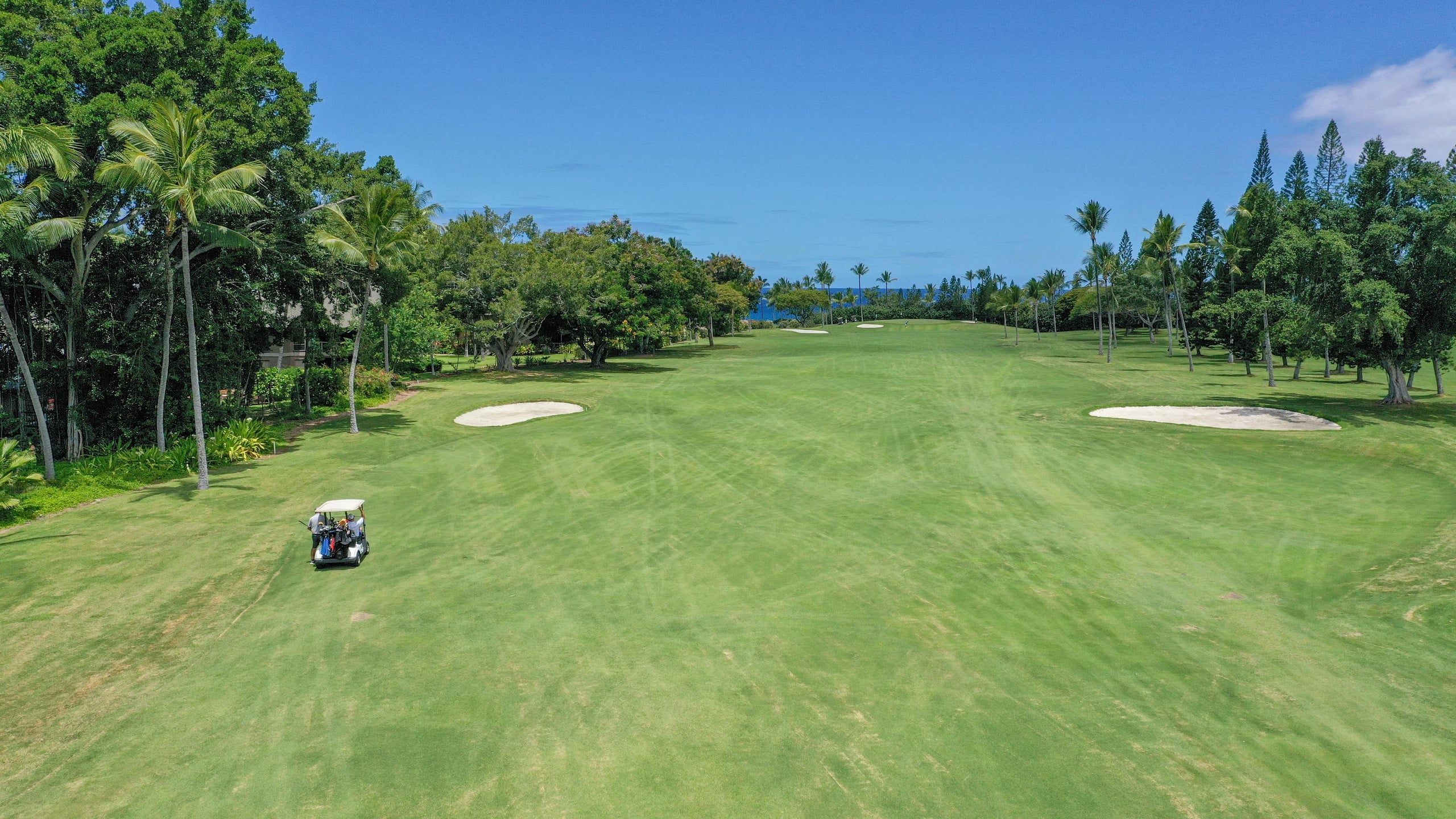 Updated Corner Unit with Ocean and Golf Views - Photo 63