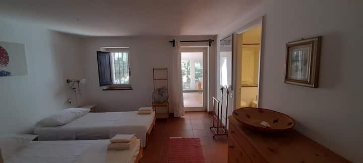 Habitación 6