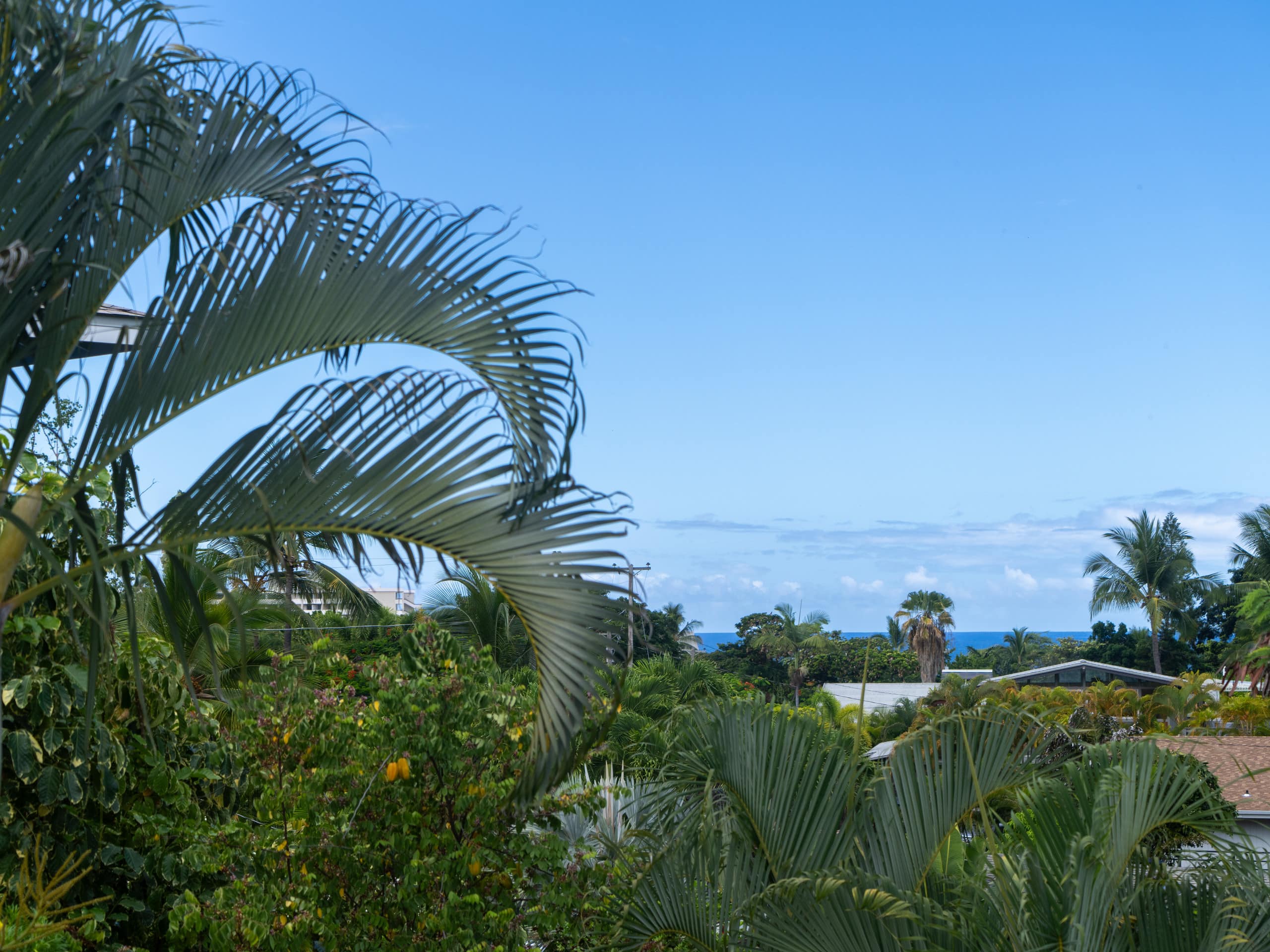 Home in Kailua-Kona · ★4.98 · 3 bedrooms · 3 beds · 3 baths - Image 39