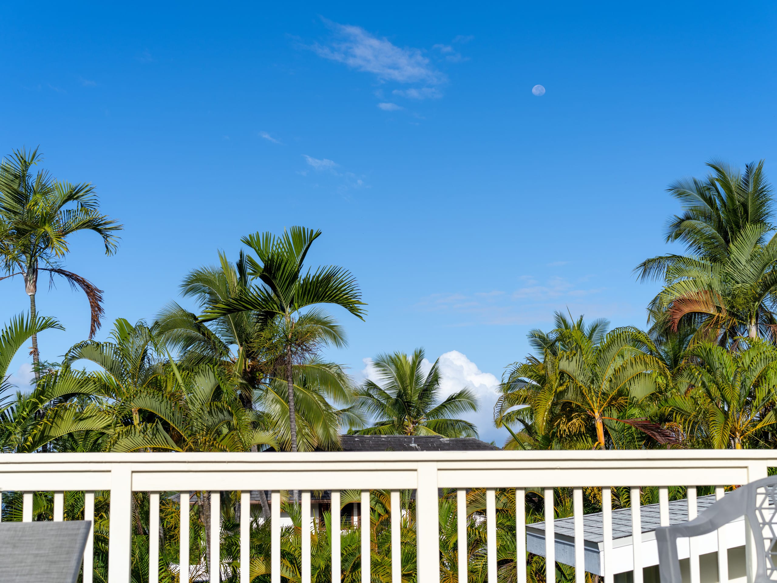 Home in Kailua-Kona · ★4.98 · 3 bedrooms · 3 beds · 3 baths - Image 38