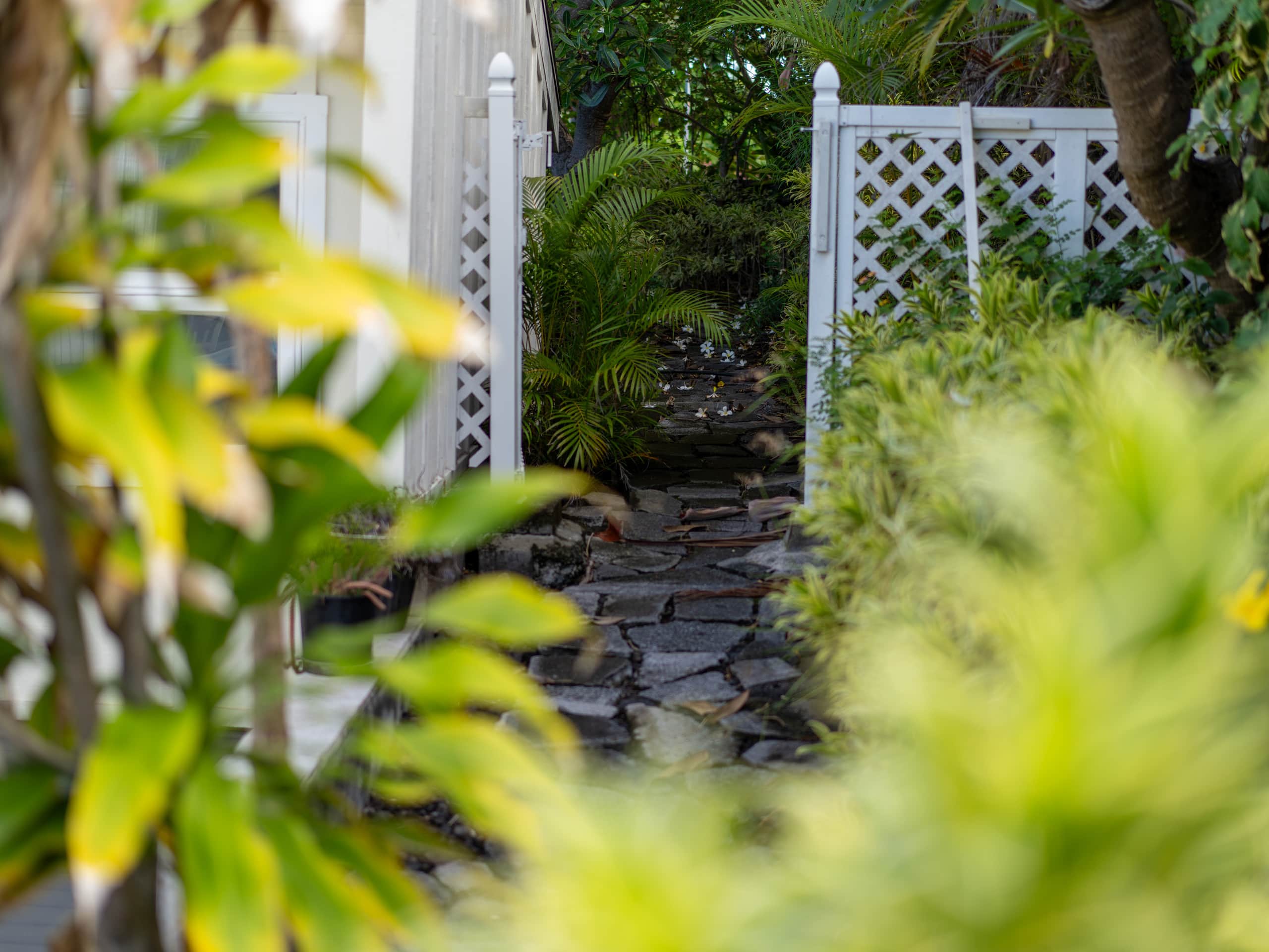 Home in Kailua-Kona · ★4.98 · 3 bedrooms · 3 beds · 3 baths - Image 48