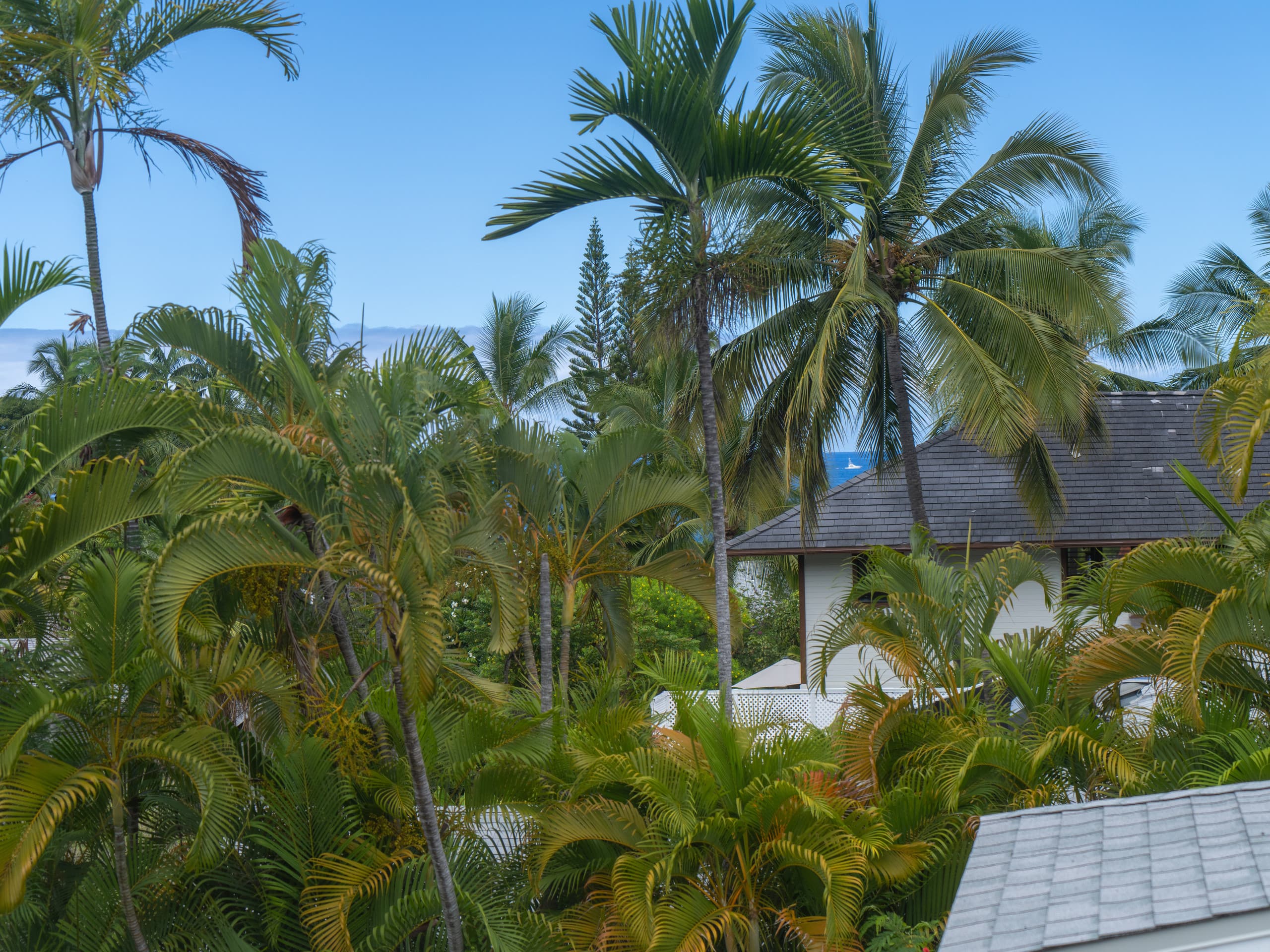 Home in Kailua-Kona · ★4.98 · 3 bedrooms · 3 beds · 3 baths - Image 37