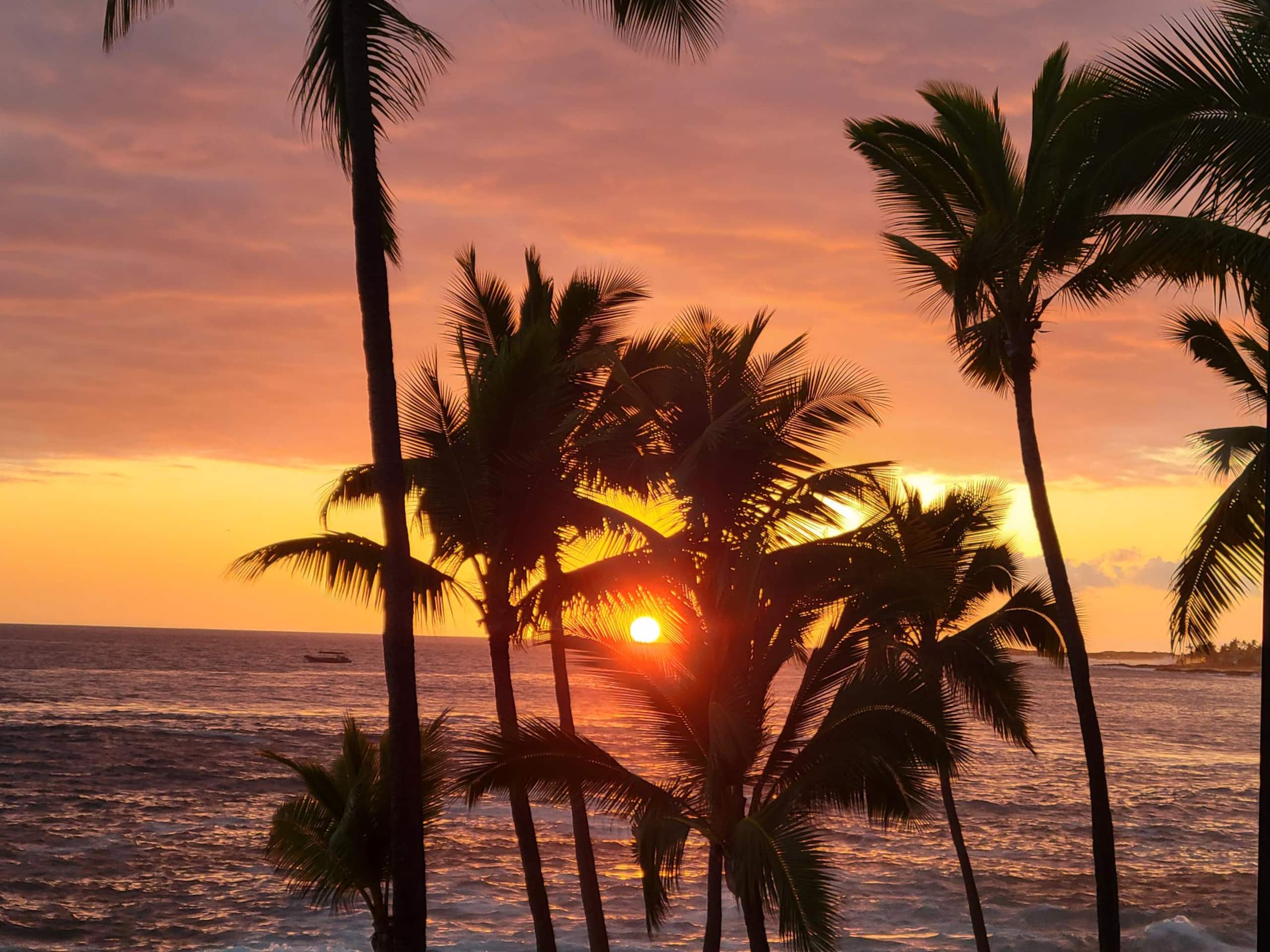 WOW! Kona Reef D36-Direct Oceanfront-Top Floor:A/C - Image 31