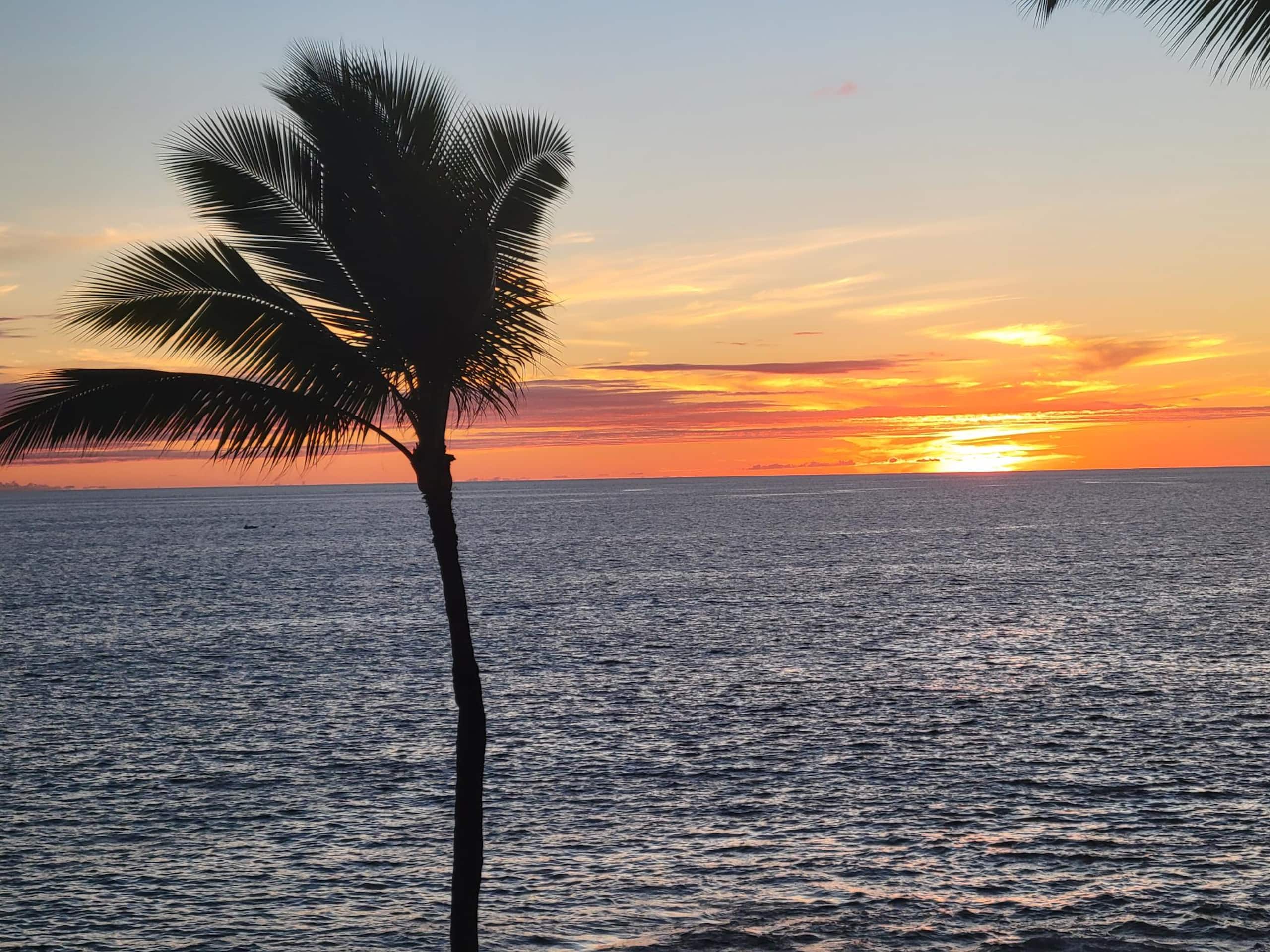 WOW! Kona Reef D36-Direct Oceanfront-Top Floor:A/C - Image 32