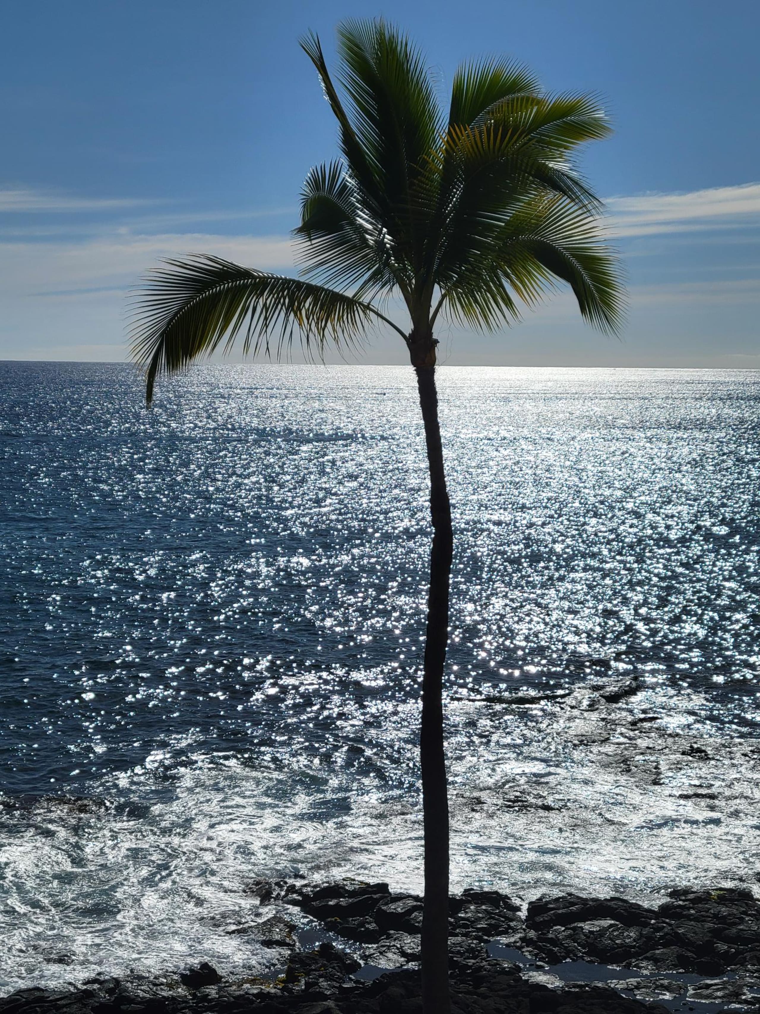 WOW! Kona Reef D36-Direct Oceanfront-Top Floor:A/C - Image 42