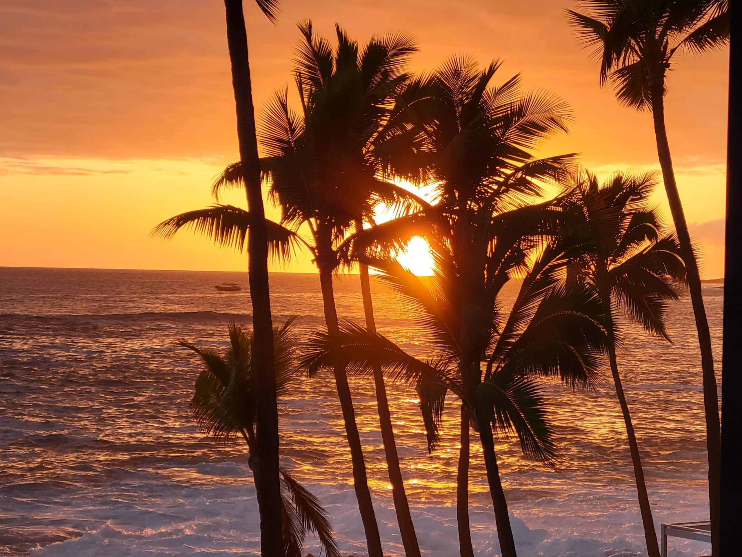 WOW! Kona Reef D36-Direct Oceanfront-Top Floor:A/C - Image 35