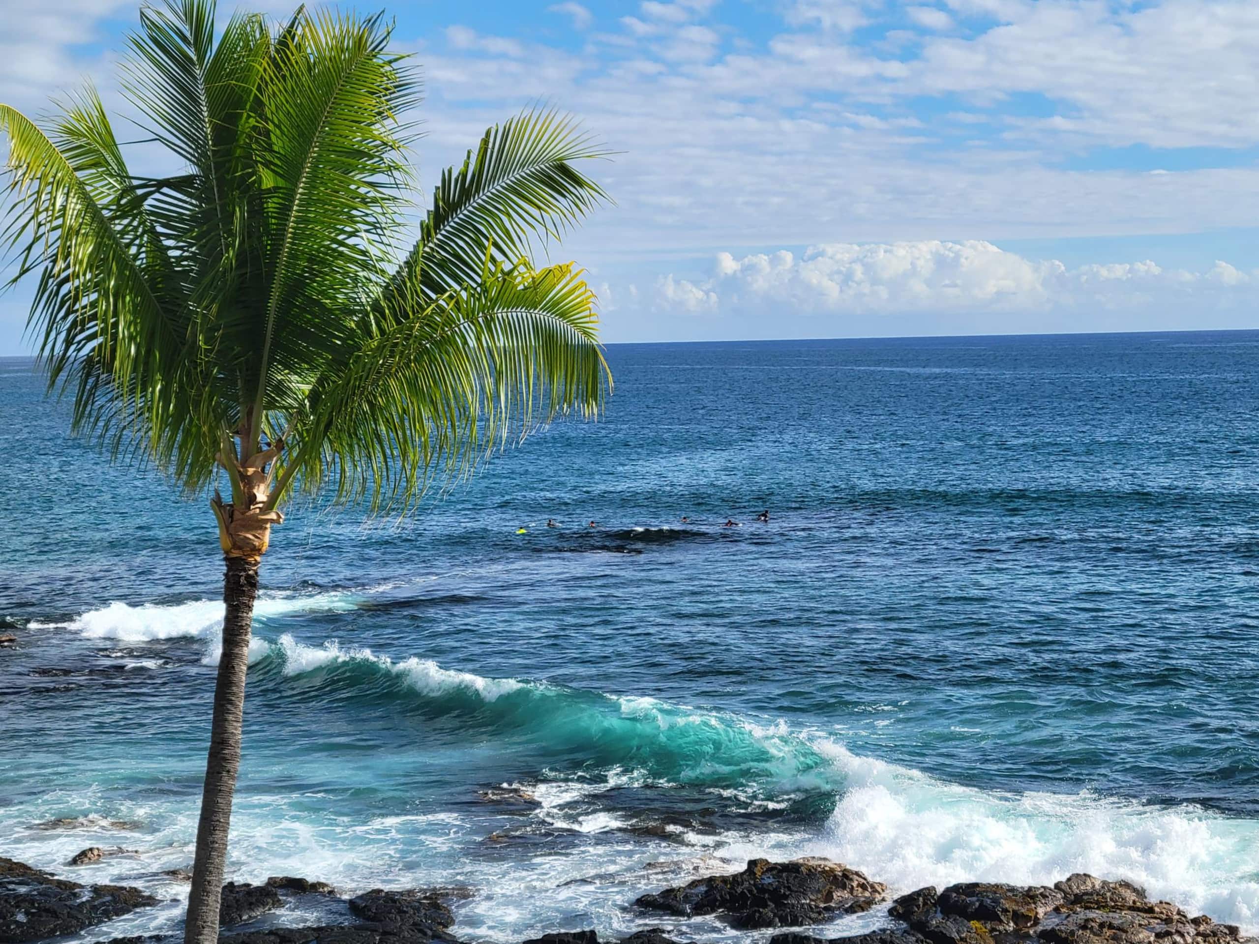 WOW! Kona Reef D36-Direct Oceanfront-Top Floor:A/C - Image 41