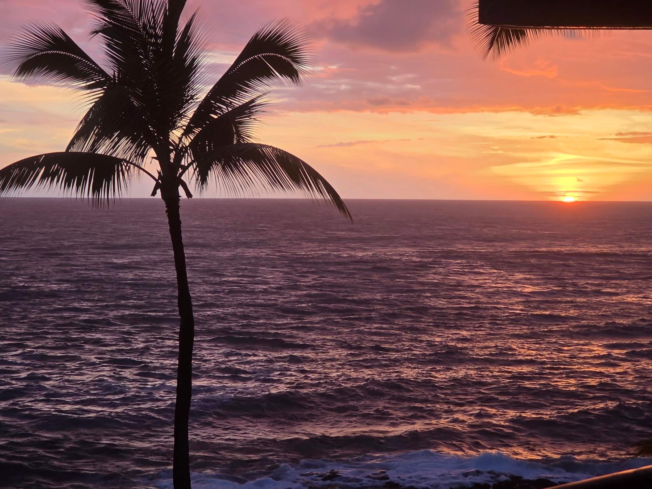 WOW! Kona Reef D36-Direct Oceanfront-Top Floor:A/C - Image 38