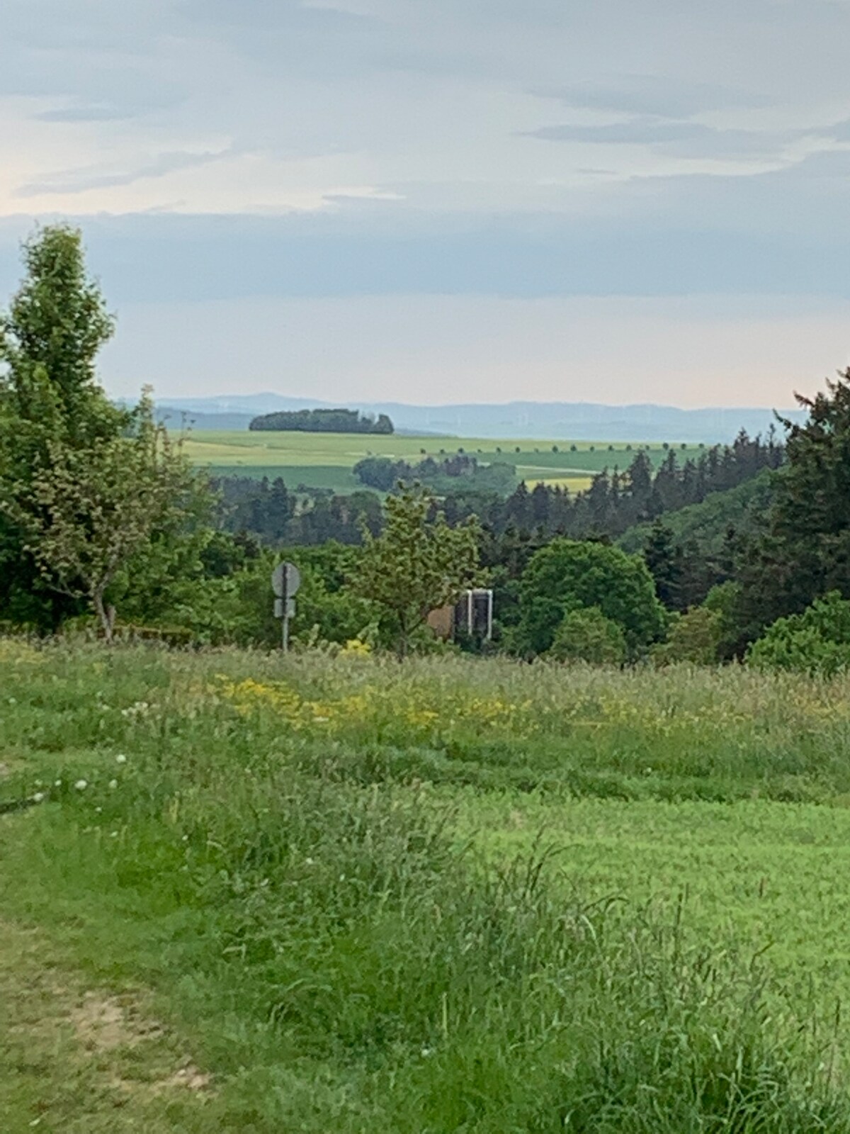 A serene landscape reveals rolling hills and lush greenery, with a scattering of trees and fields under an expansive sky. A hint of distant mountains can be seen on the horizon, suggesting a peaceful natural environment ideal for outdoor activities.