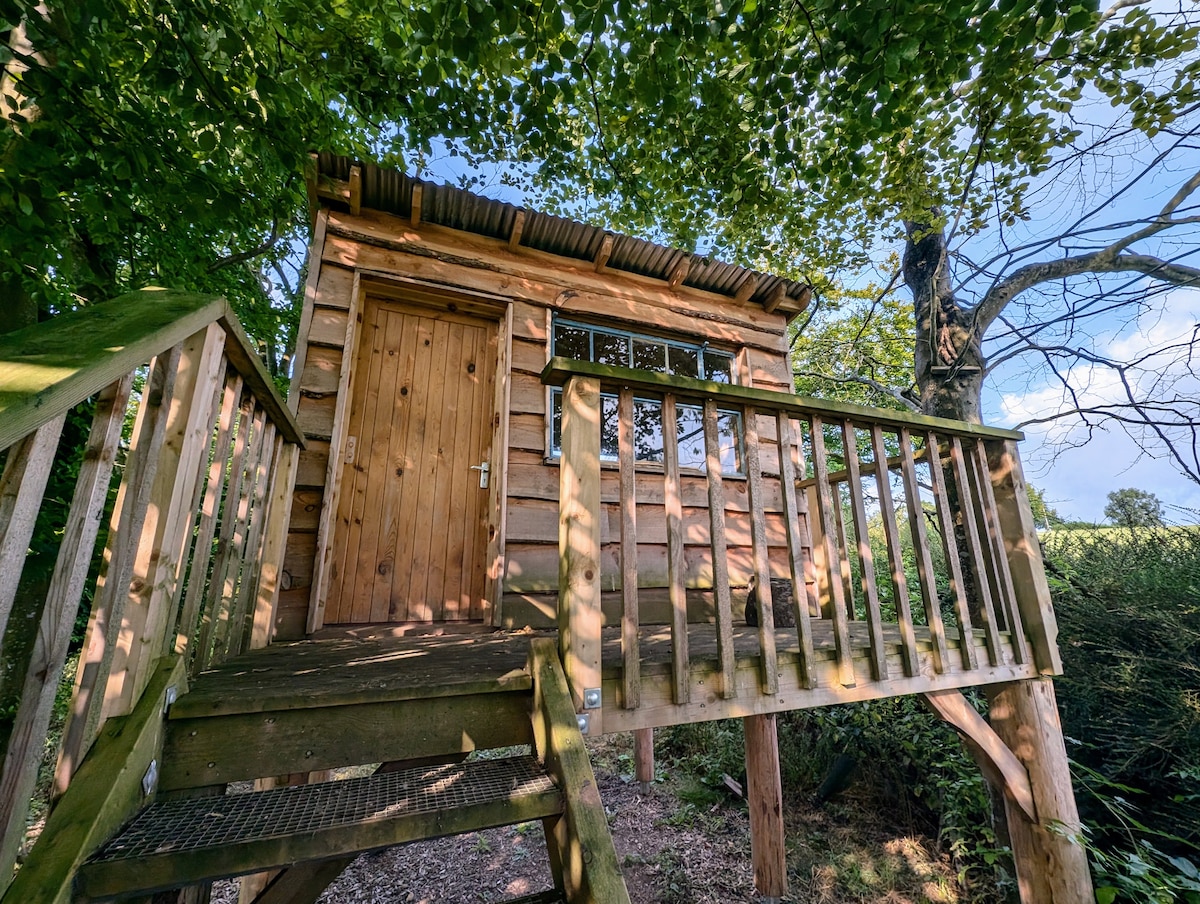 A hand-built treehouse, elevated on a sturdy wooden platform, features a wooden exterior with vertical planks. Steps lead to a small deck area with a railing, providing access to the entrance door. Surrounding greenery offers a natural setting, enhancing the secluded ambiance.