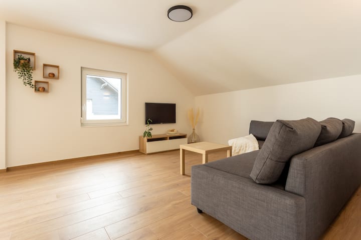 Apartmaji Klavdija » Tjaž | Balcony & Free Parking - 류블랴나