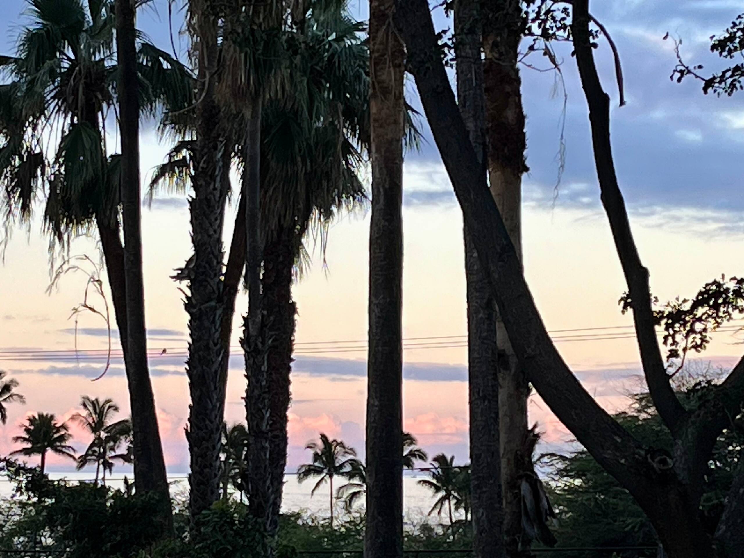 Condo in Kihei · ★4.69 · 1 bedroom · 1 bed · 1 shared bath - Image 16