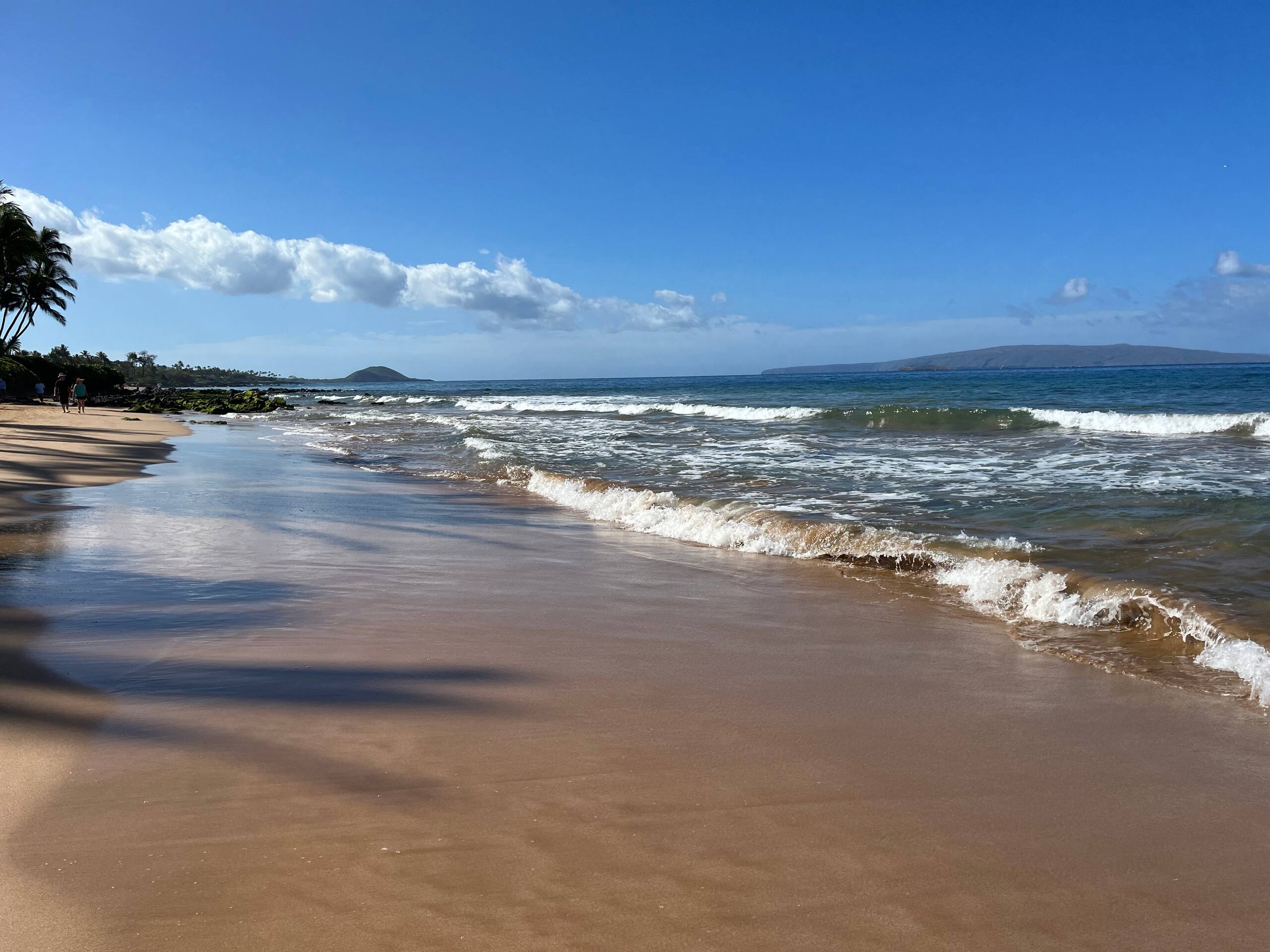 Condo in Kihei · ★4.69 · 1 bedroom · 1 bed · 1 shared bath - Image 21
