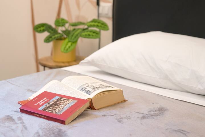 Elegant central apartment with metro at 80 meters gallery image 3