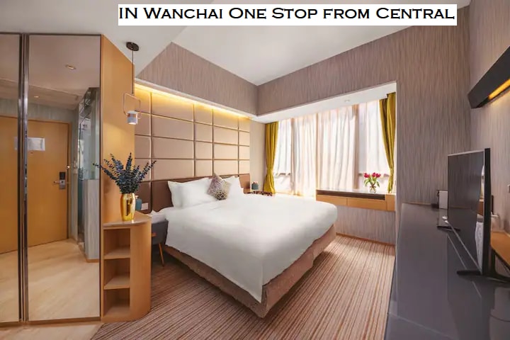 The studio features a spacious bed with an elegant headboard, complemented by soft lighting and decorative touches. A large window allows natural light to brighten the room, while a sleek television and stylish furnishings add contemporary flair.