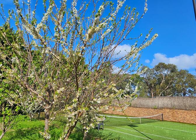 Cinema, Pool, Karaoke & more | Maggie’s Guesthouse gallery image 2