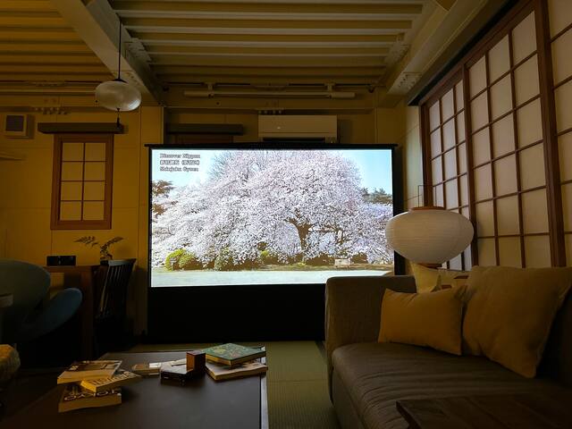 Shibuya 7min/5Bed+2Bath/155㎡/1 free parking!‼︎ gallery image 3