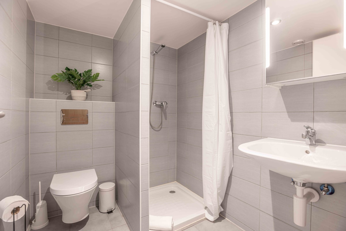 A compact private bathroom is featured, designed with modern grey tiles. A walk-in shower has a clear glass screen, while a white shower curtain is partially drawn. A wall-mounted mirror reflects the space, and a small potted plant adds a touch of greenery.