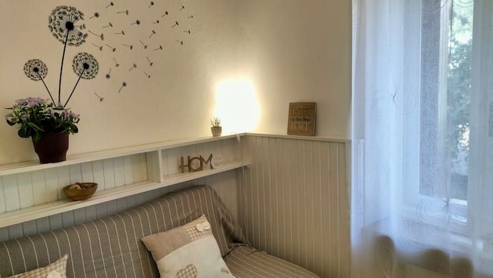 Sehemu ndogo ya TV yenye uwezekano wa kitanda kimoja, godoro la sponji na mto