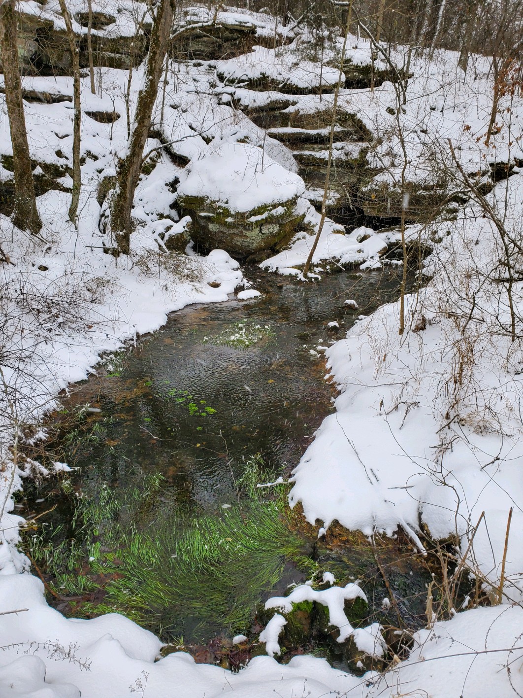A serene creek is surrounded by snow-covered ground and rocky outcrops. Clear water reflects a hint of green vegetation beneath the surface. Frosted branches frame the scene, creating a peaceful winter landscape.