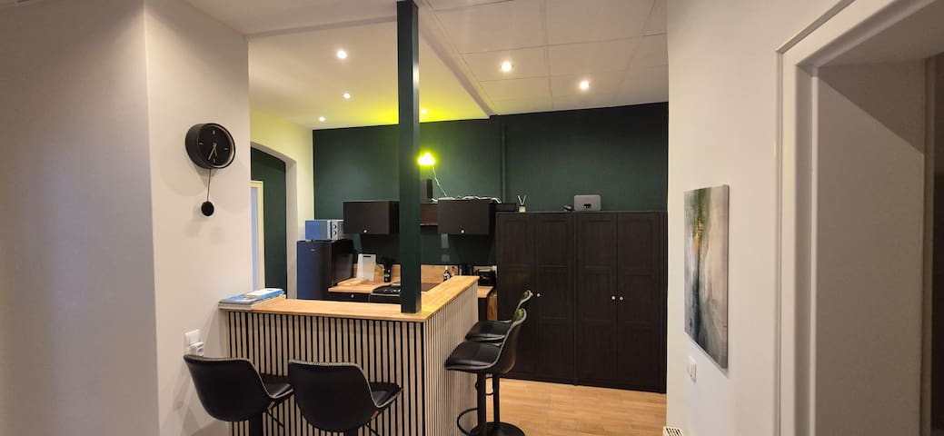 Munich Big Apartment in centrally Located