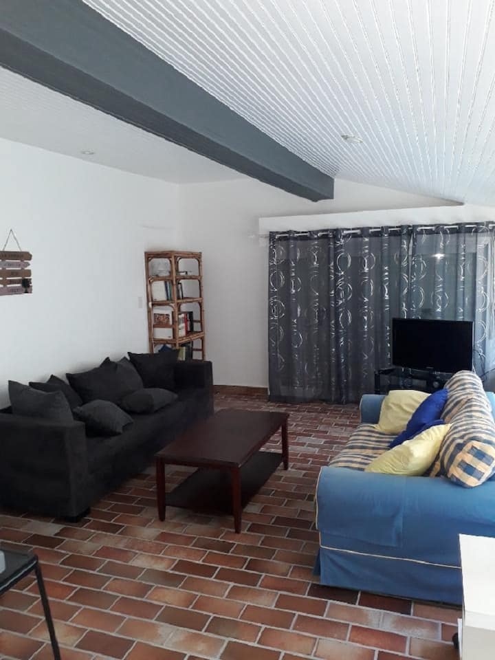 Gîte Des Palmiers Logement 100 M2 - Navarrenx