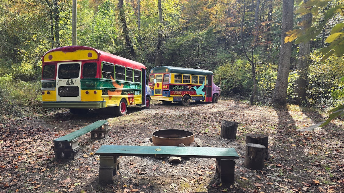 Two vintage buses are positioned within a forested campsite, showcasing vibrant colors and unique designs. A circular firepit, surrounded by rustic benches, serves as a gathering space. The ground is covered in leaves, indicating the beauty of the surrounding nature.